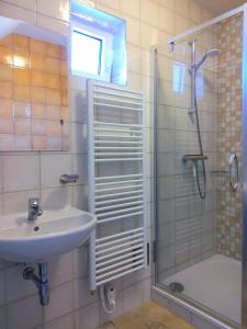 W łazience znajduje się umywalka i prysznic. w obiekcie Vinařský dvůr Šakvice w mieście Šakvice