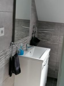 Koupelna v ubytování Családbarát apartman