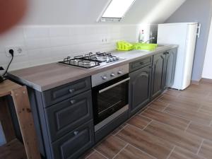 Kuchyň nebo kuchyňský kout v ubytování Családbarát apartman