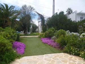 un jardín con plantas púrpuras y flores púrpuras en Estudio with sea view Cala Martina, en Cala Llena