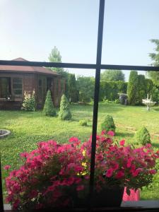 a window view of a yard with pink flowers at Apartament STUDIO i Apartament ZADOMEK Spytkowice koło ZATORA in Spytkowice