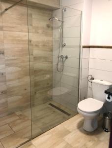 Kúpeľňa v ubytovaní Apartament STUDIO i Apartament ZADOMEK Spytkowice koło ZATORA + 23 fotografií