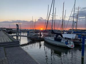 a group of boats docked in a marina at sunset at FeWo & Dz "Am Wald" in Altheide