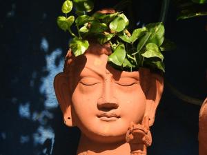 a plant that is in the shape of a face at The Coral Tree Boutique Homestay in Agra