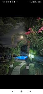 una foto de una piscina por la noche con palmeras en Le Zagare, en Lascari