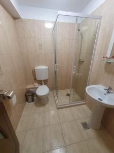 a bathroom with a shower and a toilet and a sink at Casa Vlad in Murighiol +37 photos