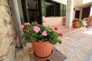 a large pot of flowers on the side of a building at Holiday house Ljubica Tisno in Tisno