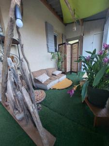 Zahrada ubytování Villa Clea