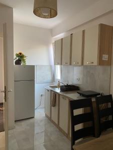 eine Küche mit einem Kühlschrank und einer Arbeitsplatte in der Unterkunft Anastazija Apartment in Ohrid
