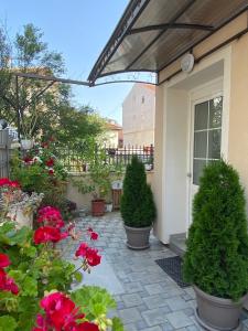 eine Terrasse mit Blumen und Pflanzen auf einem Haus in der Unterkunft Anastazija Apartment in Ohrid