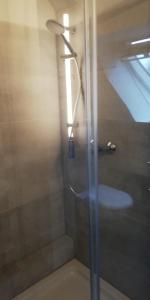 a shower with a glass door with a sink at Apartment bei Paulchen in Schneverdingen