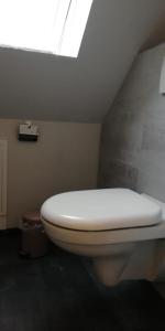 a bathroom with a white toilet in a attic at Apartment bei Paulchen in Schneverdingen