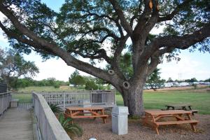 Gallery image of Executive Inn & Suites Cuero in Cuero