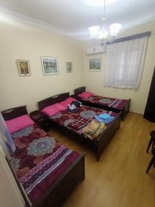 Rúm í herbergi á TJ+ Hostel