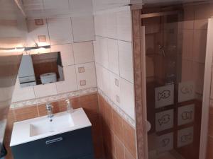 a bathroom with a sink and a shower at gite climatisé jusqu'à 9 personnes secteurs la broque Obernai Strasbourg in La Broque +20 photos
