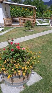 a pot of flowers in a yard with a bench at Astra in Agerola