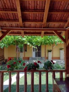a wooden pergola with flowers in a yard at Casa Maru in Jurilovca