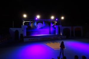 a person on a stage at night with purple lights at Villa Gio' in Casa Francesi