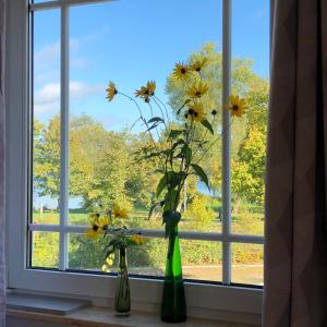 two vases with yellow flowers sitting in a window at Ferienwohnung Seeblick Ratzeburg in Ratzeburg