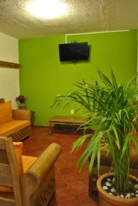 uma sala de estar com uma parede verde e uma televisão em Casa Geranios Tequisquiapan em Tequisquiapan