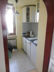 a small kitchen with a sink and a counter at Ferienwohnung am Cambomare in Kempten