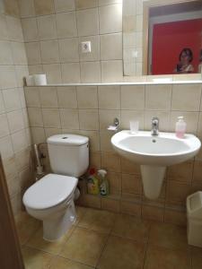 łazienka z toaletą i umywalką w obiekcie VIOLA Wellness Apartman w Zalakaros