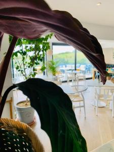 Porth Beach Hotel的休息区