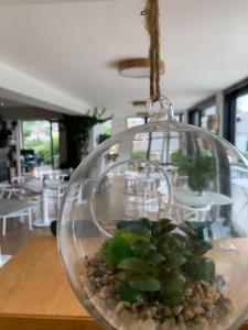 Porth Beach Hotel餐厅或其他用餐的地方