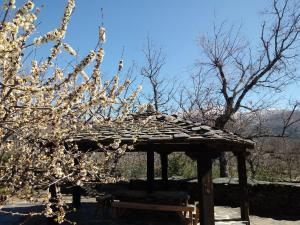 the country house周边自然景观