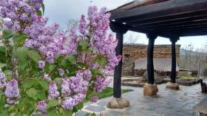 La Era de la Tía Donata外面的花园