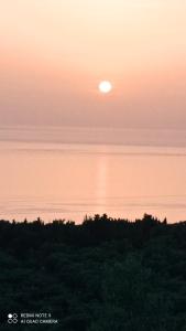 a sunset with the sun rising over the trees at South Side in Athanion