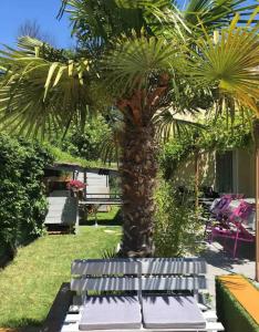 Zahrada ubytování Villa Clea