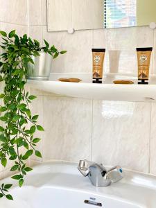 a bathroom sink with two shelves above it at Doume's Lodge in Les Deux Alpes