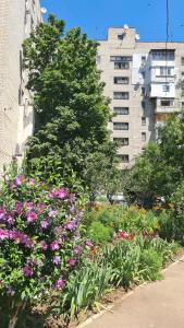 Taman di luar ЖДЕМ Вас! ПРИЕЗЖАЙТЕ