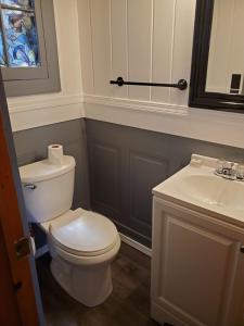 a bathroom with a white toilet and a sink at The Meadows in Lake George +26 photos