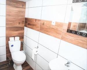 ein Bad mit einem WC und einem Waschbecken in der Unterkunft Pokoje Gościnne 2 in Danzig