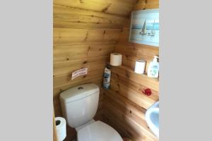 a bathroom with a toilet and a sink at River View Log Cabin Pod - 5 star Glamping Experience in Muff