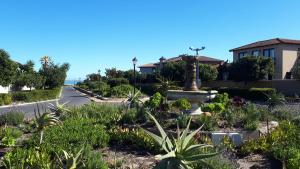 a garden with a fountain in the middle of a road at Big Bay Homestay in Big Bay