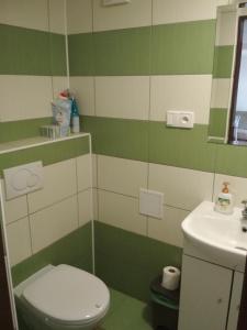 a green and white bathroom with a toilet and a sink at J&K Štrba in Poprad