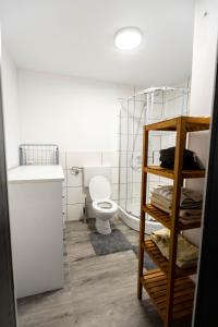 La salle de bains est pourvue de toilettes et d'un lavabo. dans l'établissement Aprtman hiška ob kolpi, à Gradac