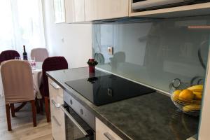 Kuchyň nebo kuchyňský kout v ubytování Apartman Alka