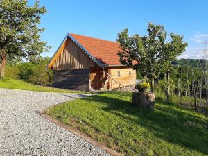 a barn in a field next to a gravel road at Rooms & Wine Lilek in Šentilj