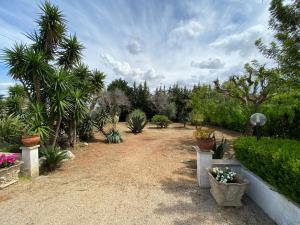 A garden outside Villetta a Corigliano D'Otranto