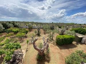 A garden outside Villetta a Corigliano D'Otranto