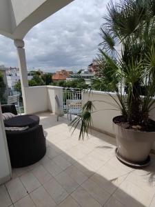 a balcony with two potted plants on a roof at Hotel Ambassador in Rimini