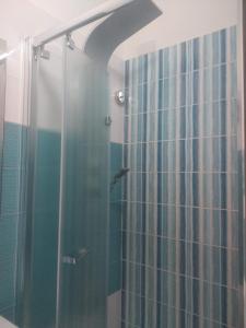a shower with a glass door with a dolphin in it at B&B Domus Piedigrotta in Pizzo +60 photos
