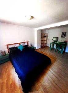 1 dormitorio con 1 cama grande y escritorio en Cornu Karma Apartment Siuranella en Cornudella