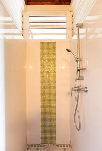 a bathroom with a shower with a mosaic tile wall at Le Palma Christi in Le Carbet
