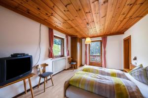 TV a/nebo společenská místnost v ubytování Grödnerhof Peter