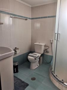 W łazience znajduje się toaleta, umywalka i prysznic. w obiekcie Mar Azul Σπίτι δίπλα στην παραλία και στο κέντρο! w Elafónisos